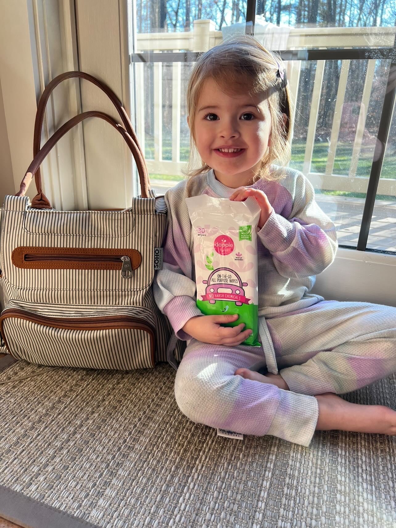 Dapple On the Go Wipes, Lavender, 30ct (Case of 8)