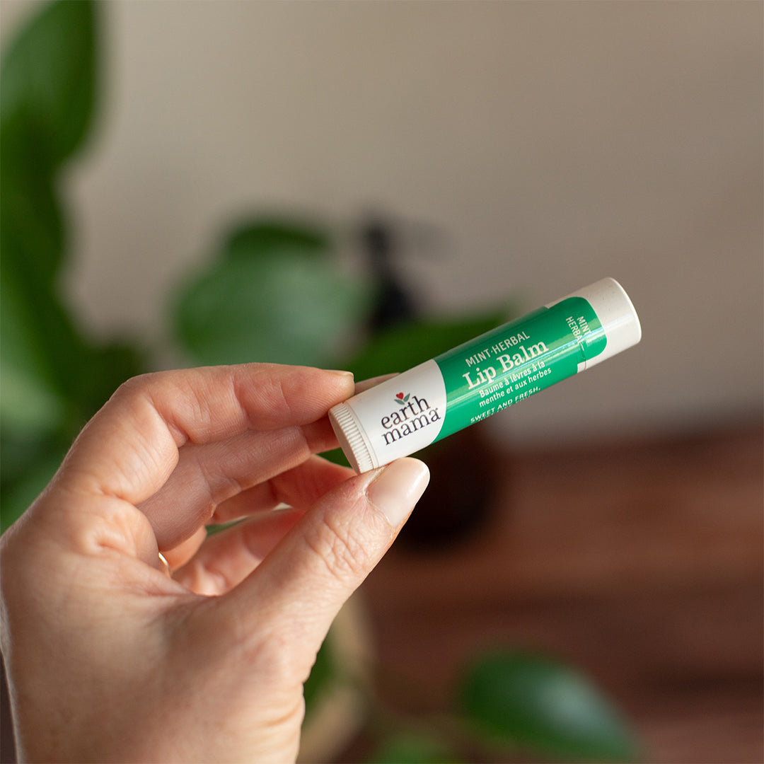 Mint Herbal Lip Balm