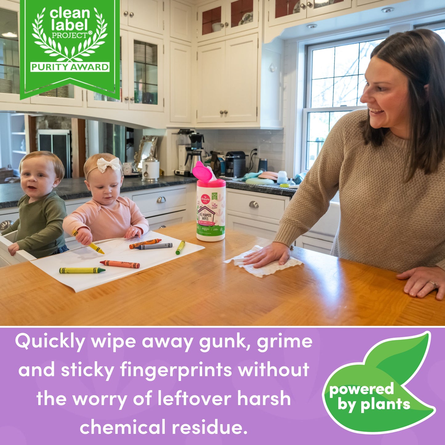 Dapple All Purpose Cleaner Wipes, Lavender, 75ct (Case of 6)